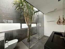 Braddell Heights Estate (D13), Detached #596319001